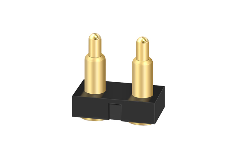 2 pin 1.jpg.2